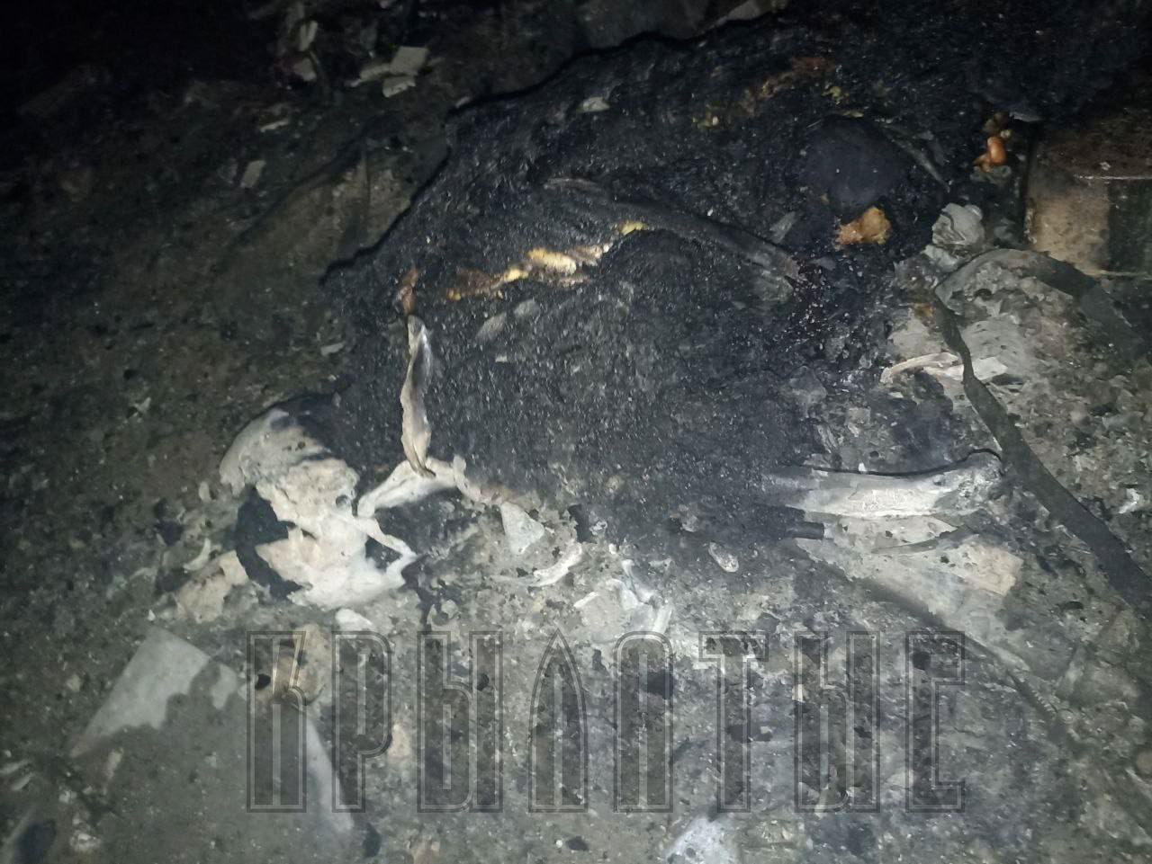 Изображение публикации 8ede4f05-a4c8-4727-b9a8-fedf357ca2c3