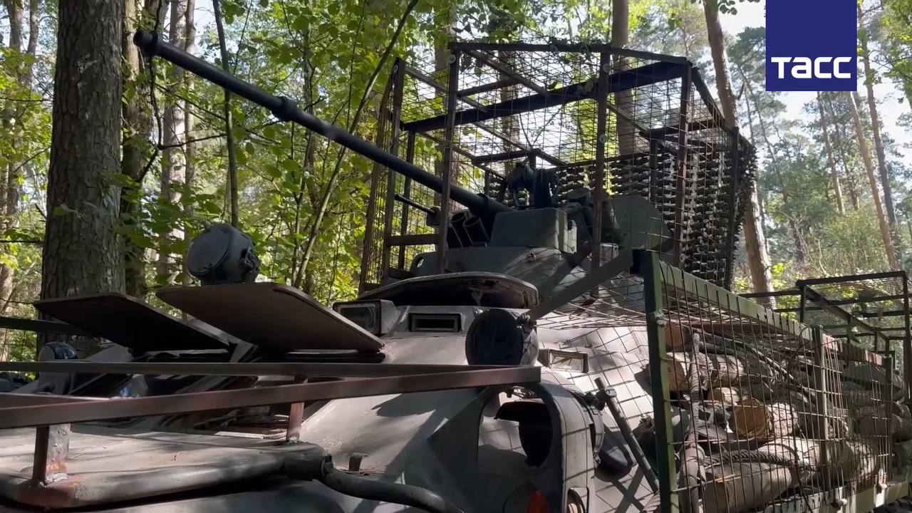 Изображение публикации 8f004739-bf8e-48ec-a06c-f7f5a11fea62