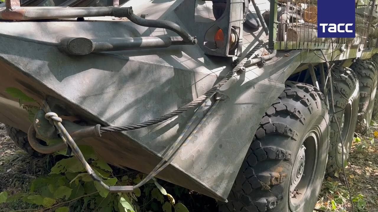 Изображение публикации 8f004739-bf8e-48ec-a06c-f7f5a11fea62