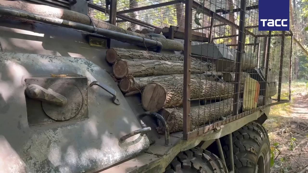 Изображение публикации 8f004739-bf8e-48ec-a06c-f7f5a11fea62