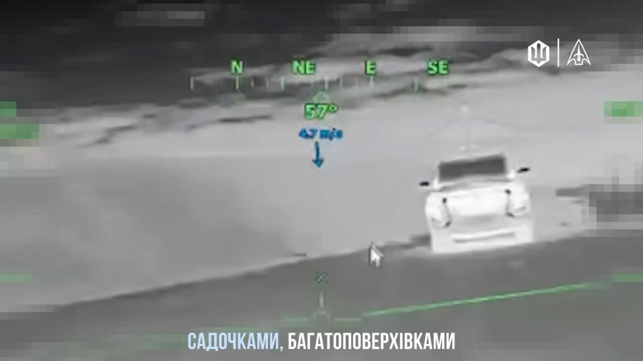 Изображение публикации 90949ced-a526-40b3-b350-8fc68ac54fdb
