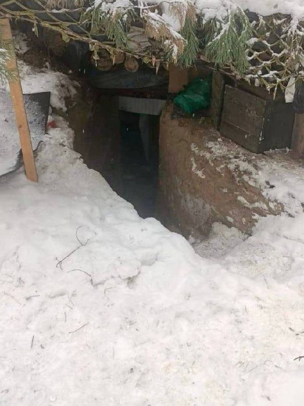 Изображение публикации 90c9a56b-1d1f-4832-818a-32ae6759121d