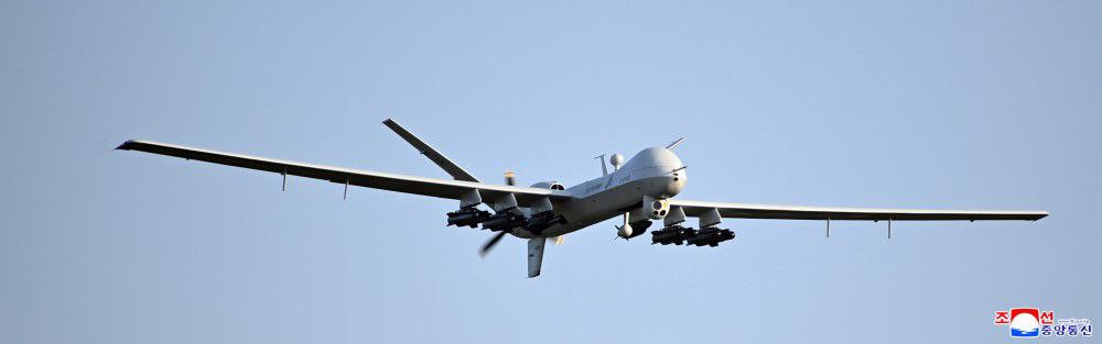Изображение публикации 92d0f52f-7564-495b-af1e-345f69967714