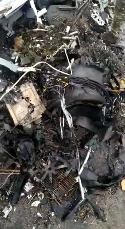 Изображение публикации 93f47d26-0b4c-4152-b84d-4d4da9fe6eb6