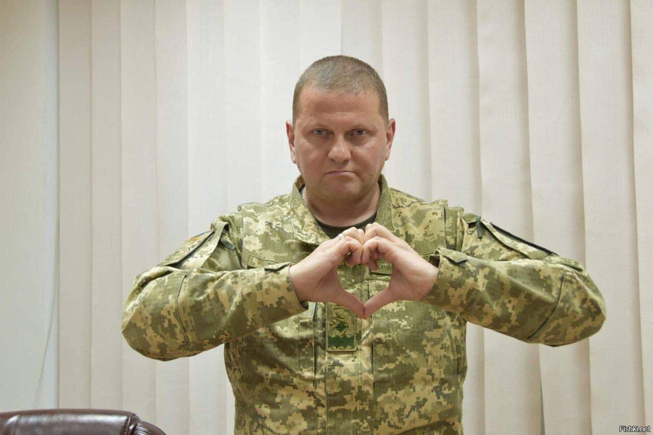 Изображение публикации 94512eb8-528e-4a74-a1fd-2577a5cacf30