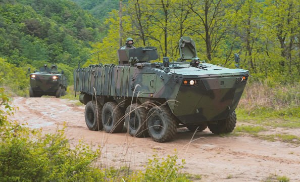 Изображение публикации 965afaf8-62c2-4ab0-a6f1-2aa26e4a87a5