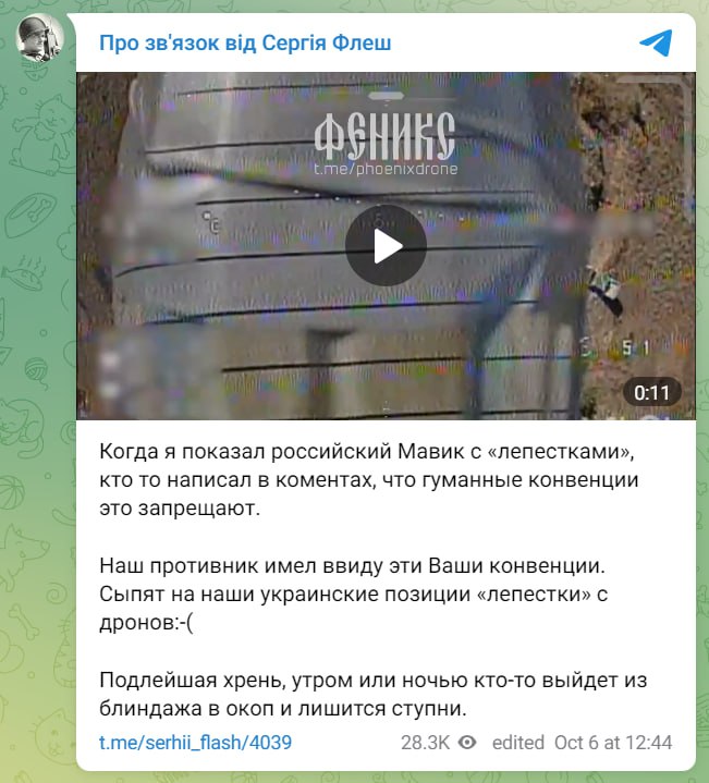 Изображение публикации 9793dd54-7bf5-4997-ad5b-a3d91769ed57