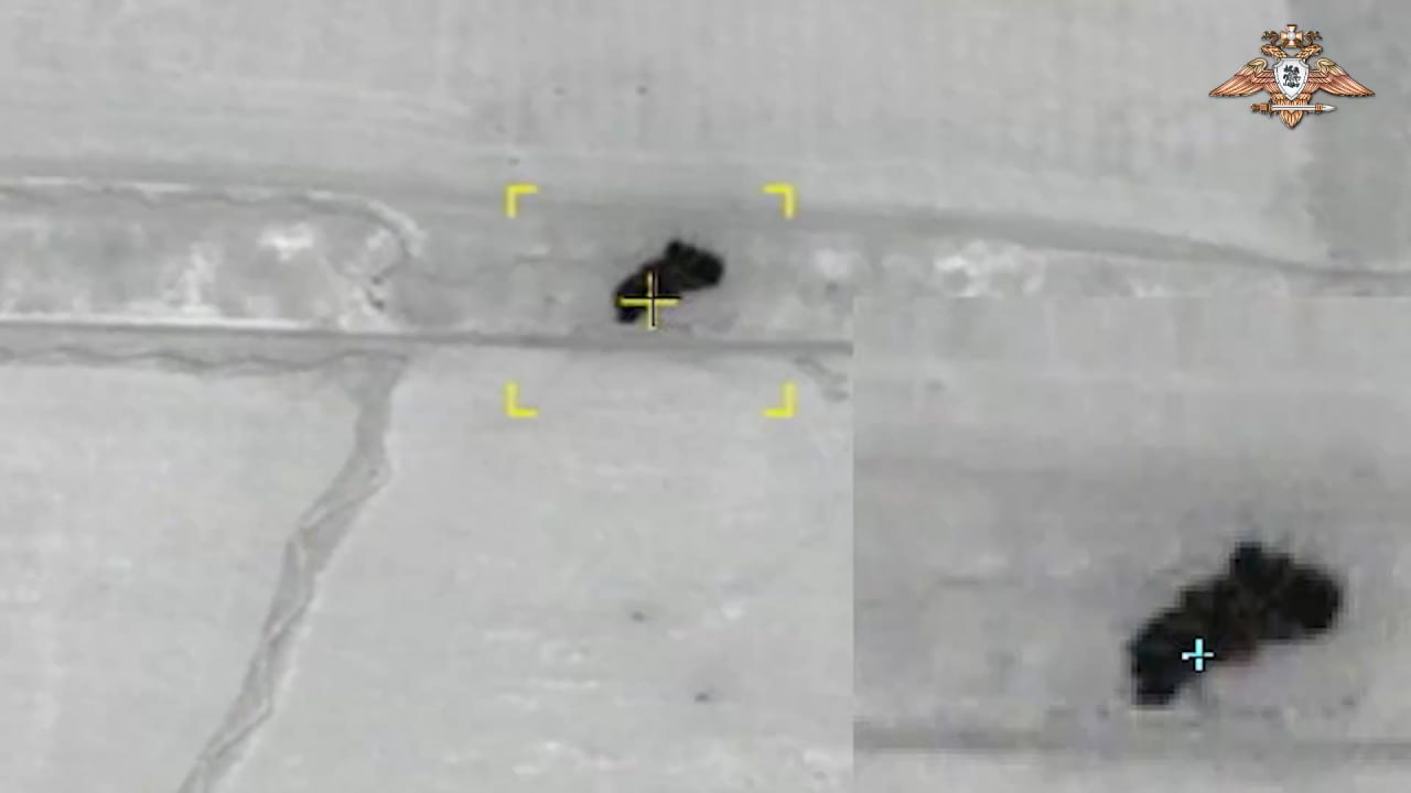 Изображение публикации 97c60fc4-007c-44ad-8e16-c9c80d7696bc