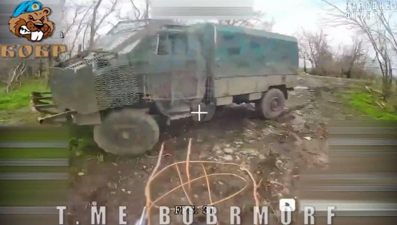 Изображение публикации 98759def-37f1-4957-80cc-3a79a41e7d3b