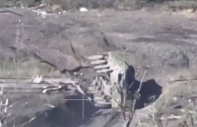 Изображение публикации 987b01cf-7abb-489e-b209-a71cf1d7a8c6