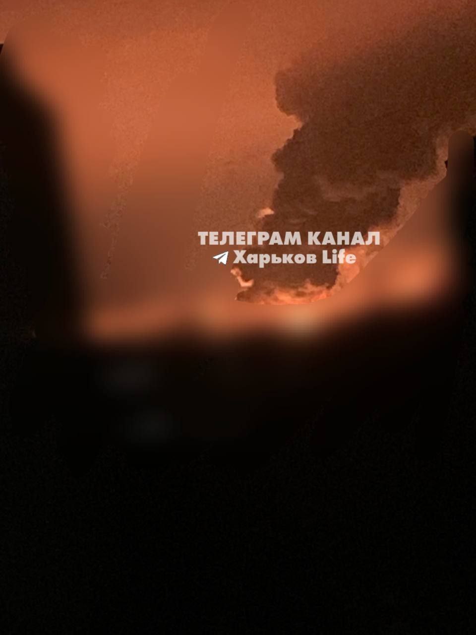 Изображение публикации 99463cf8-664a-4390-953a-376ca6334c84