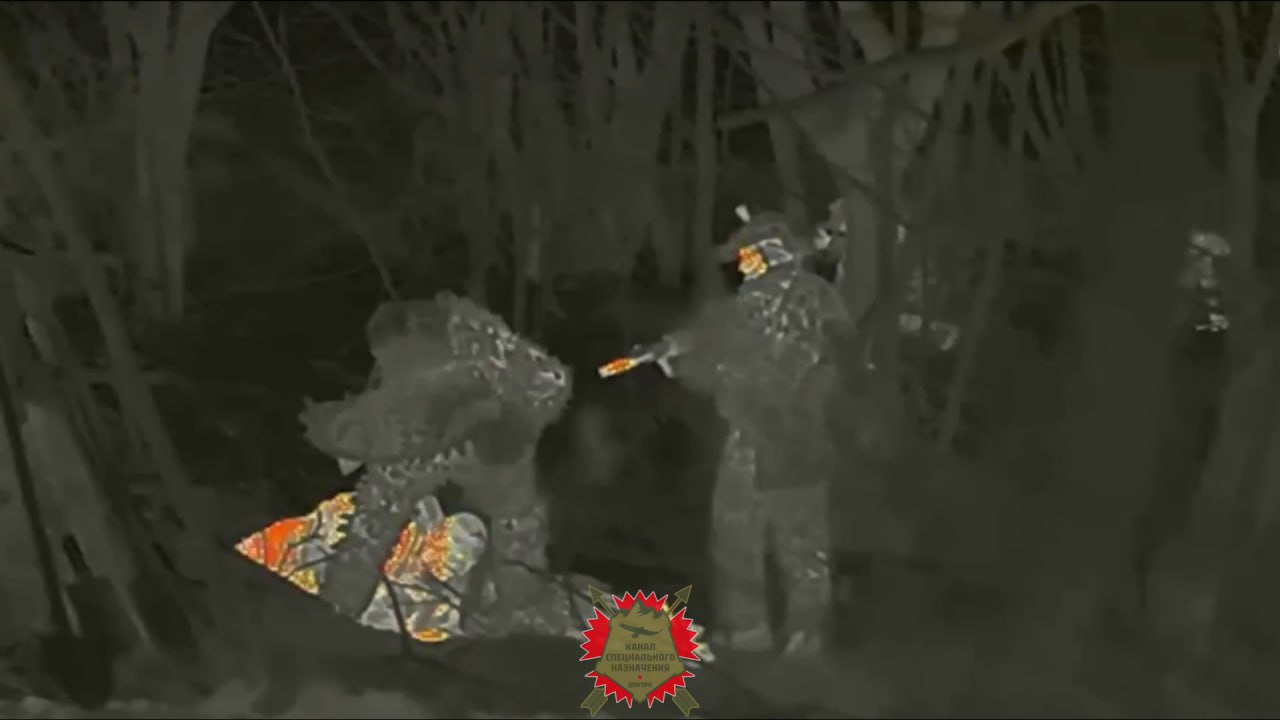 Изображение публикации 9970025b-7409-43c6-a489-364aa013bd68