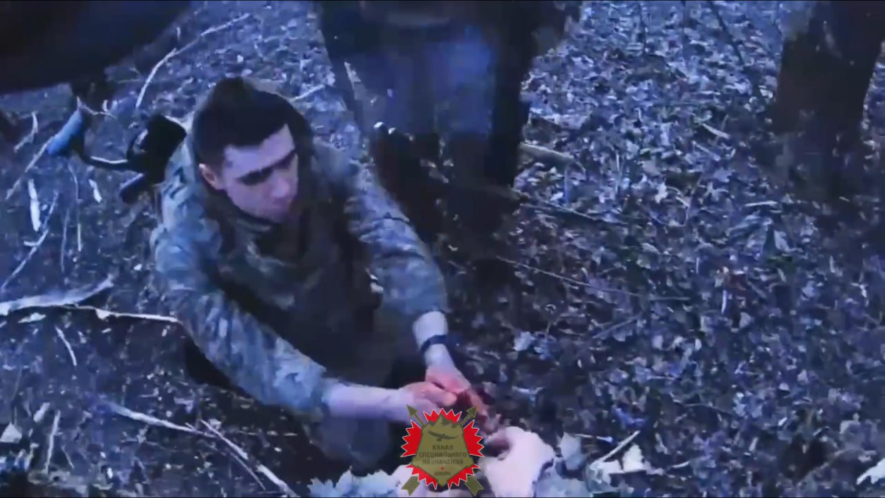 Изображение публикации 9970025b-7409-43c6-a489-364aa013bd68