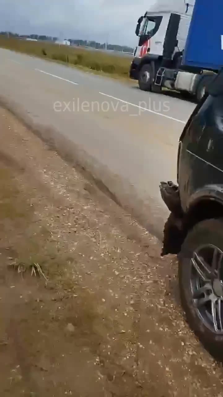 Превью видео