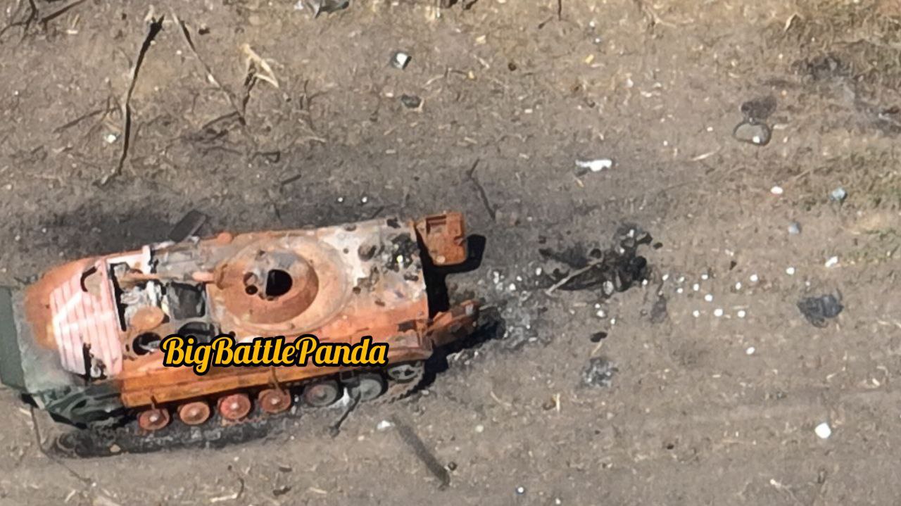 Изображение публикации 9a0f24c1-87c9-416a-8b81-85444c1460de