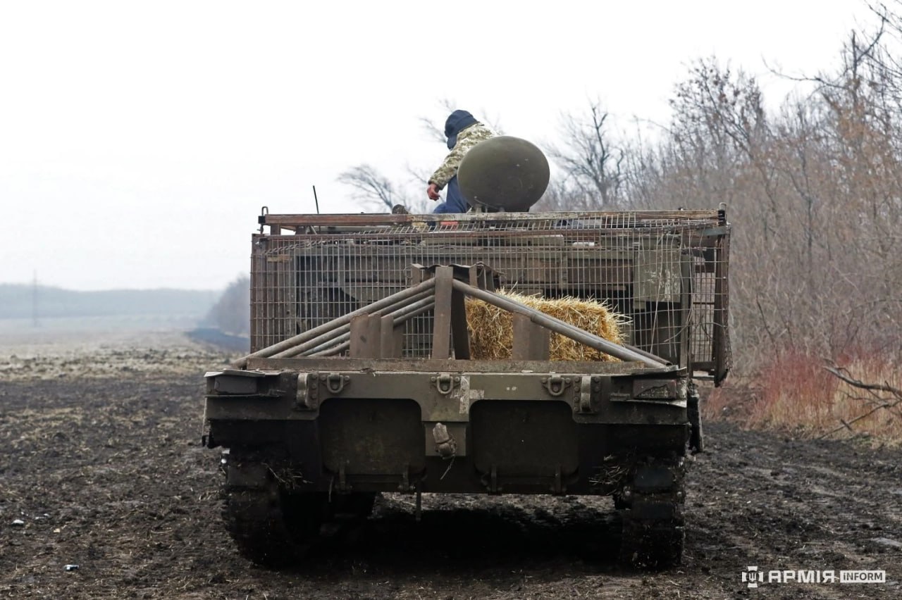 Изображение публикации 9a7f95f7-183c-43ce-938e-8a4daa51425c