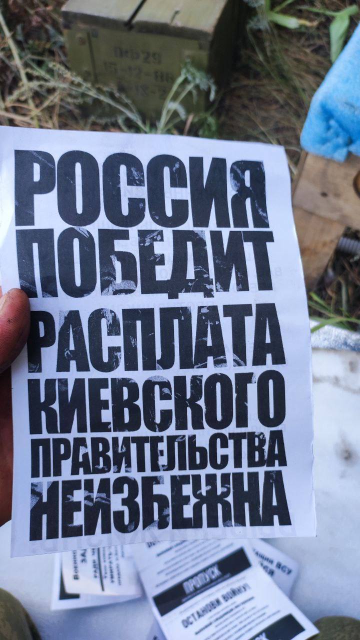 Изображение публикации 9b5384e9-a885-4477-bed5-0c354c10dc34