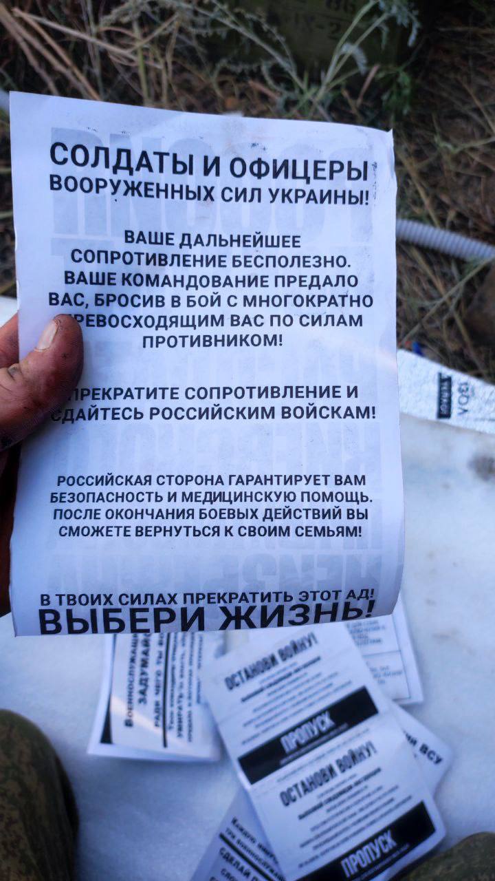 Изображение публикации 9b5384e9-a885-4477-bed5-0c354c10dc34