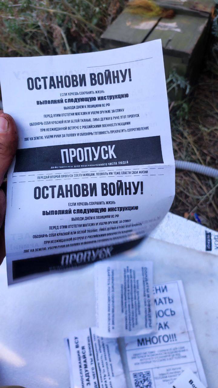Изображение публикации 9b5384e9-a885-4477-bed5-0c354c10dc34