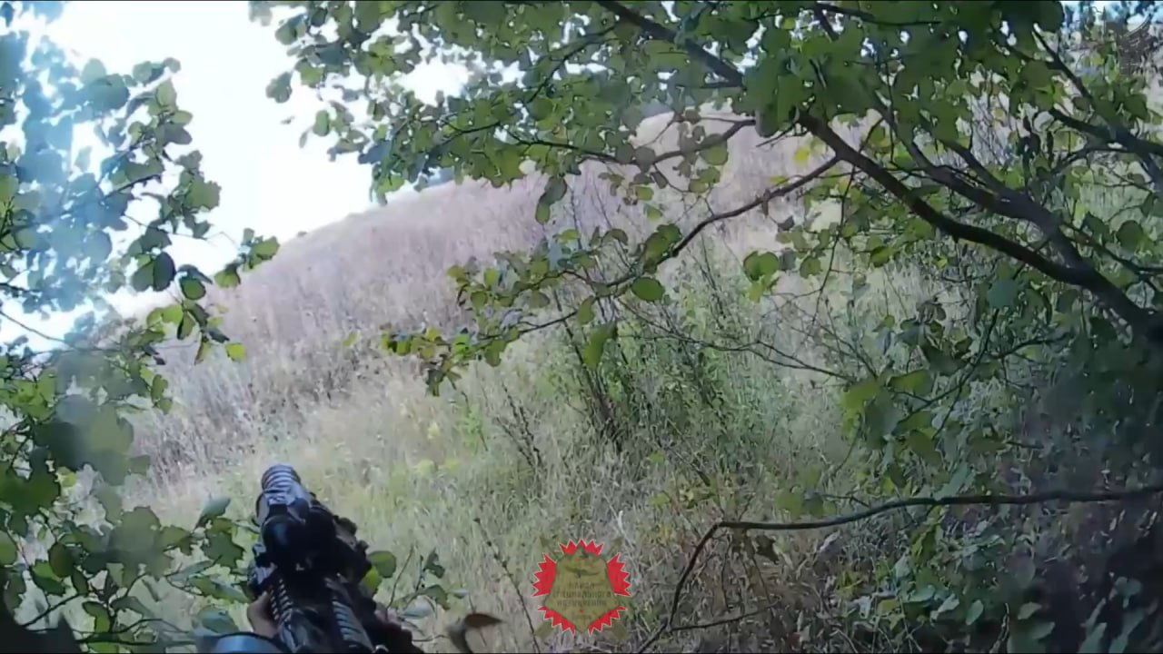 Изображение публикации 9c2c4f70-bf33-481b-972f-0de8d8dee5a7