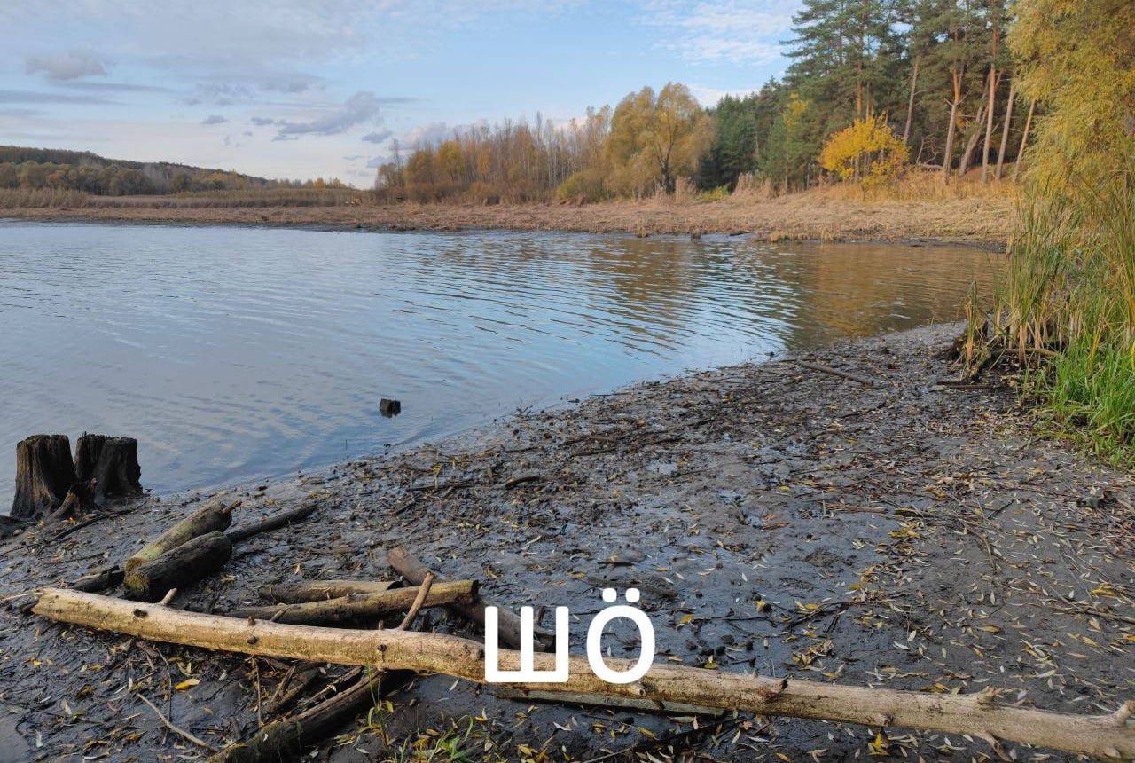 Изображение публикации 9c3f6e3a-bf83-4ff6-9ec2-421e12b69de9