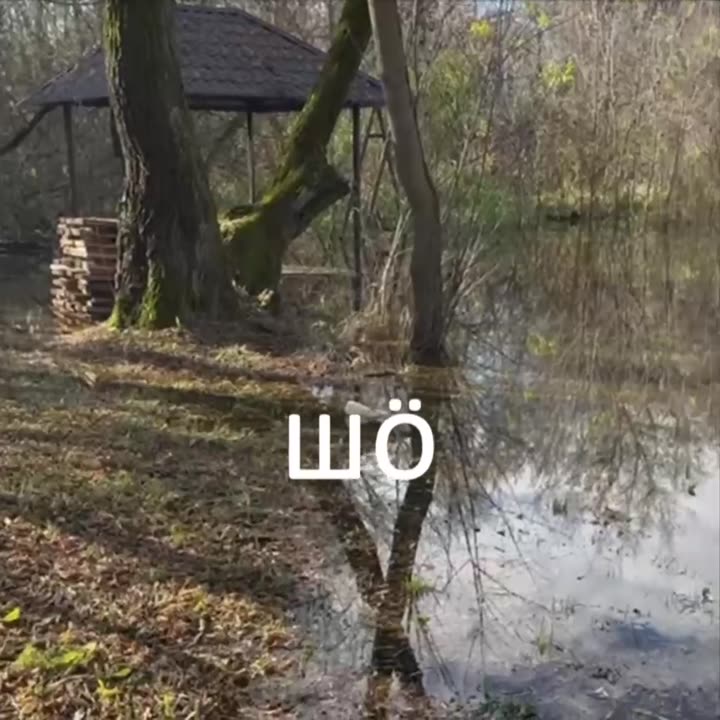Превью видео