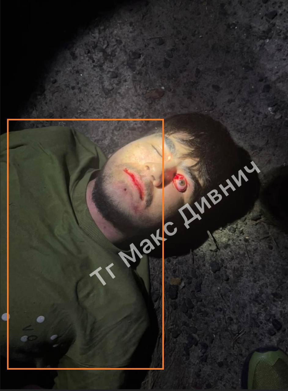 Изображение публикации 9c6798ee-f3e1-4590-972a-7be0fed483fd