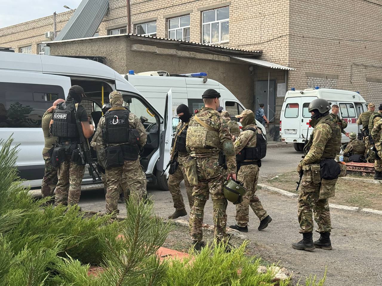 Изображение публикации 9ceb4dbe-90d7-4261-8be0-df979e622963