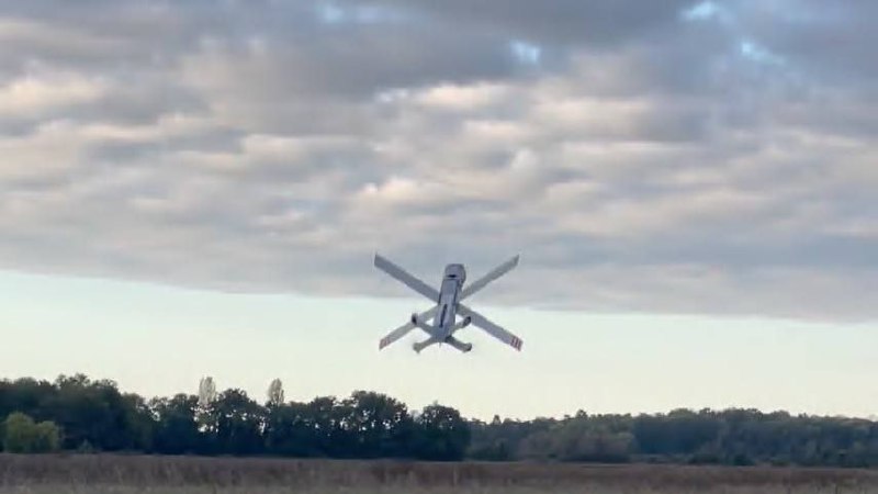 Изображение публикации 9f133414-dc28-46a2-88f7-e939b2e01df5