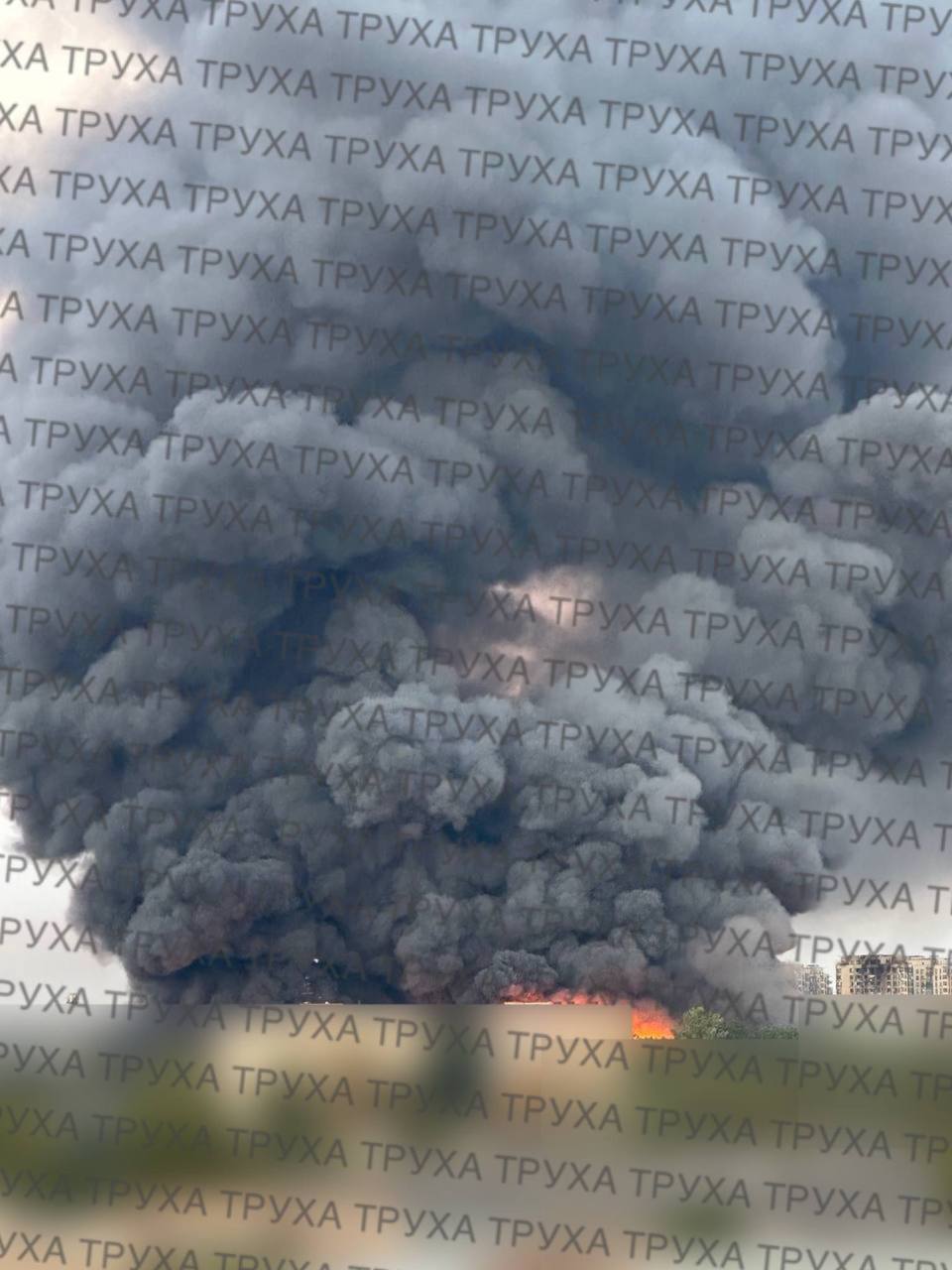 Изображение публикации 9ff60930-941e-4eb3-8f48-2671acdb861f