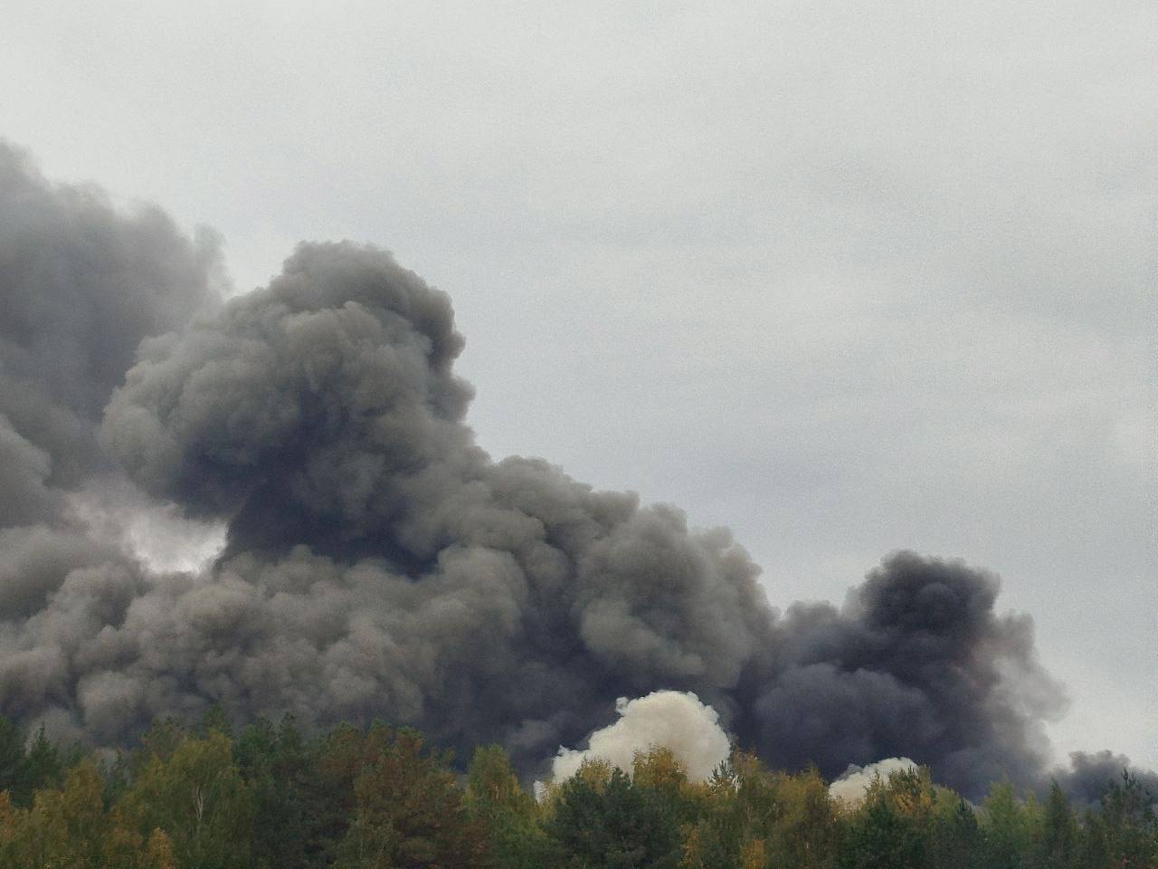 Изображение публикации a0225f6c-d0e3-4ce0-8020-4a73a3753052
