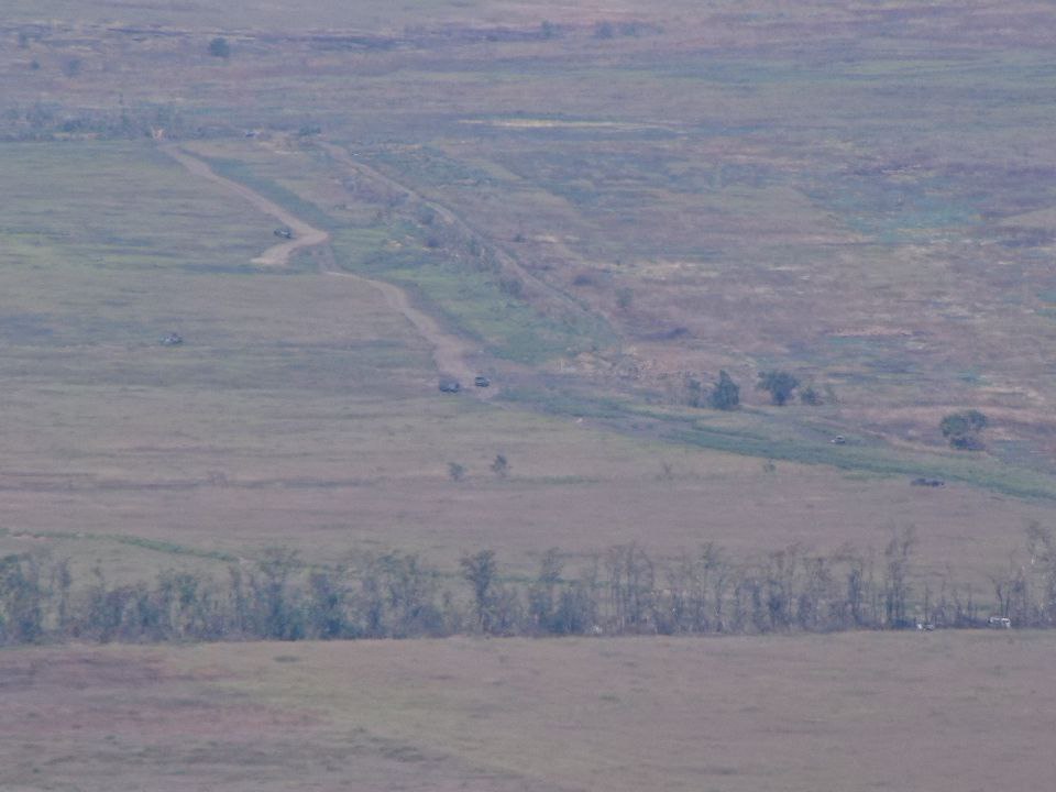 Изображение публикации a0dd7191-49a6-4e44-8a4b-f95e1c1d8711
