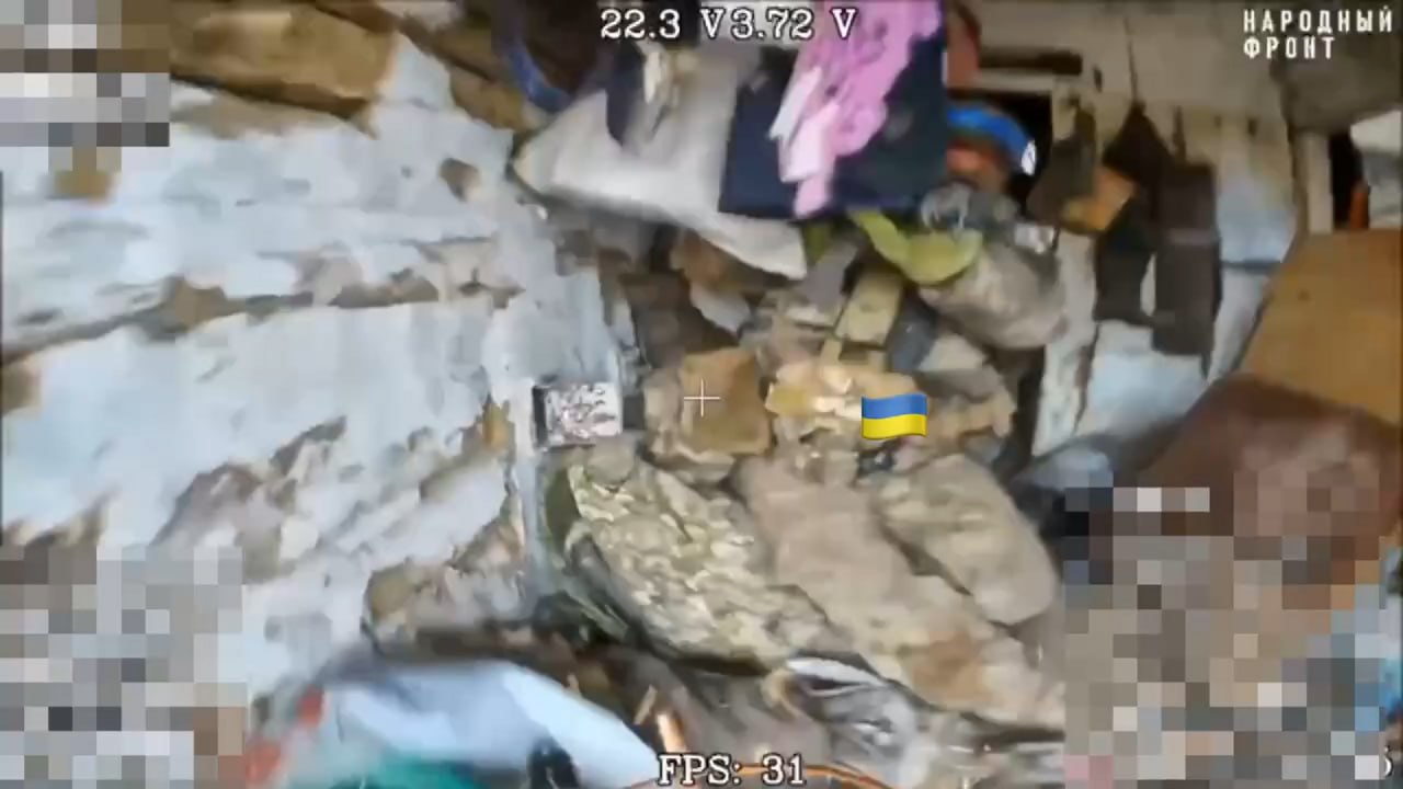 Изображение публикации a2696c67-8b12-426a-8660-51032cd28bcc