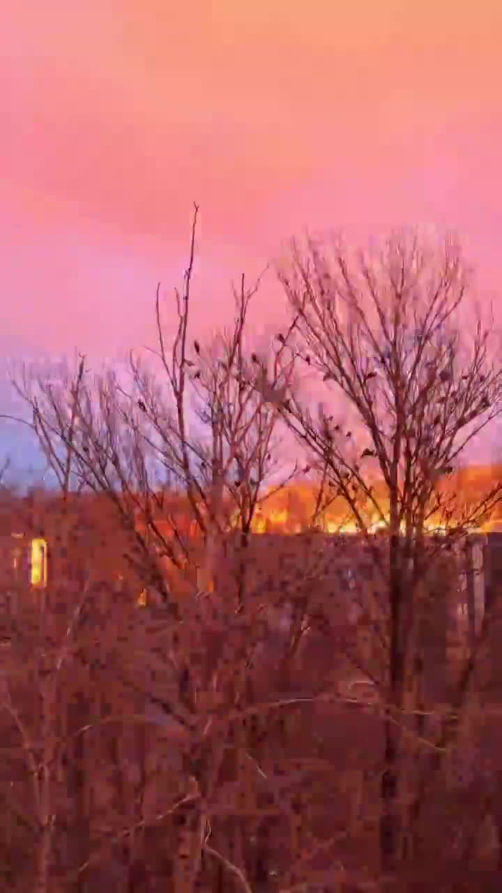Превью видео