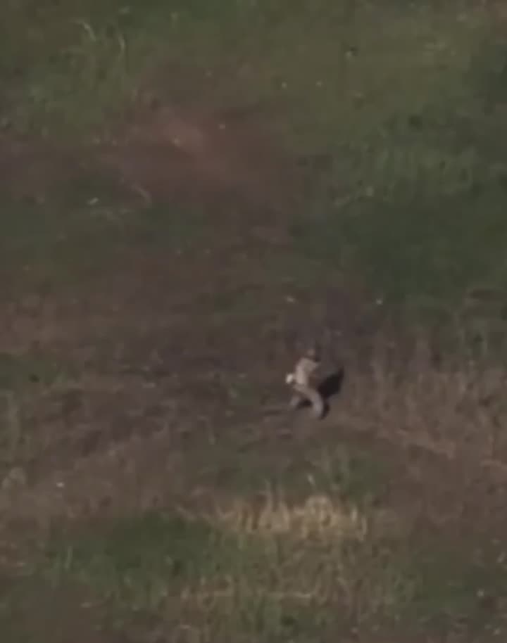 Превью видео