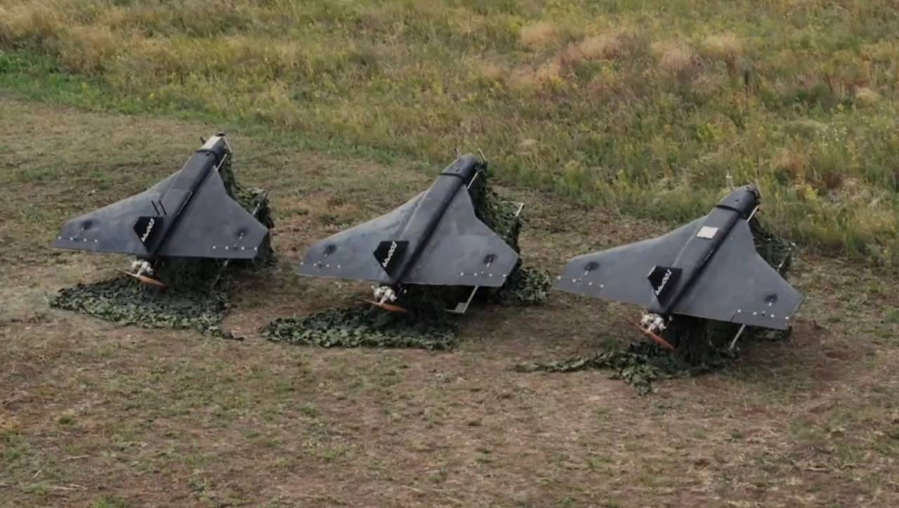 Изображение публикации a796a7b5-76e6-4342-b09c-5144d62db2ee