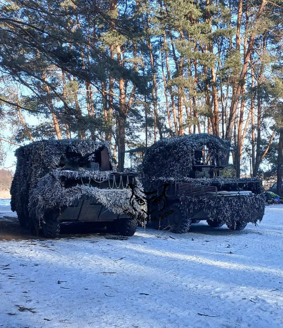 Изображение публикации a7d3b66f-5020-4458-8f77-caf78cbe7fab