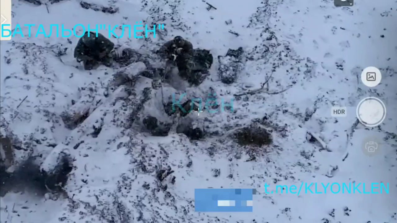 Изображение публикации abc49d62-8735-4559-98f9-e98795ef4bfa