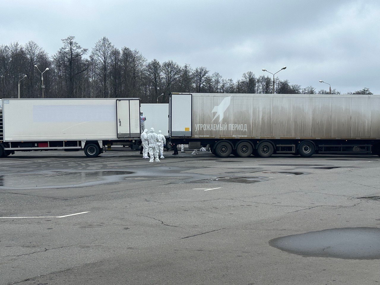 Изображение публикации ae51e4c3-3abd-405c-9ae1-6071d4dc0cd7
