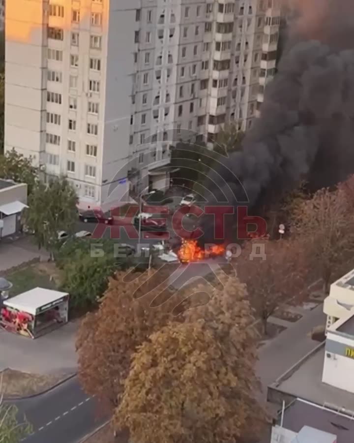 Превью видео