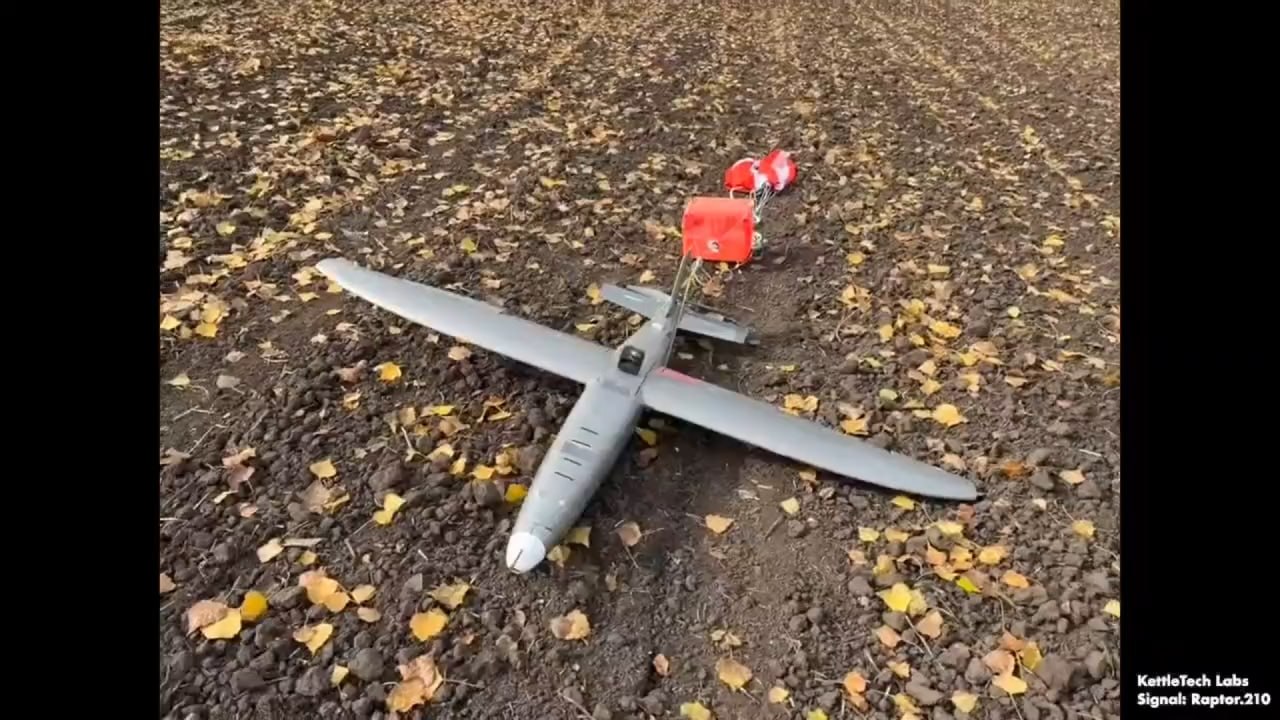 Изображение публикации af41bbaf-9169-4633-800d-19d91a68c34c