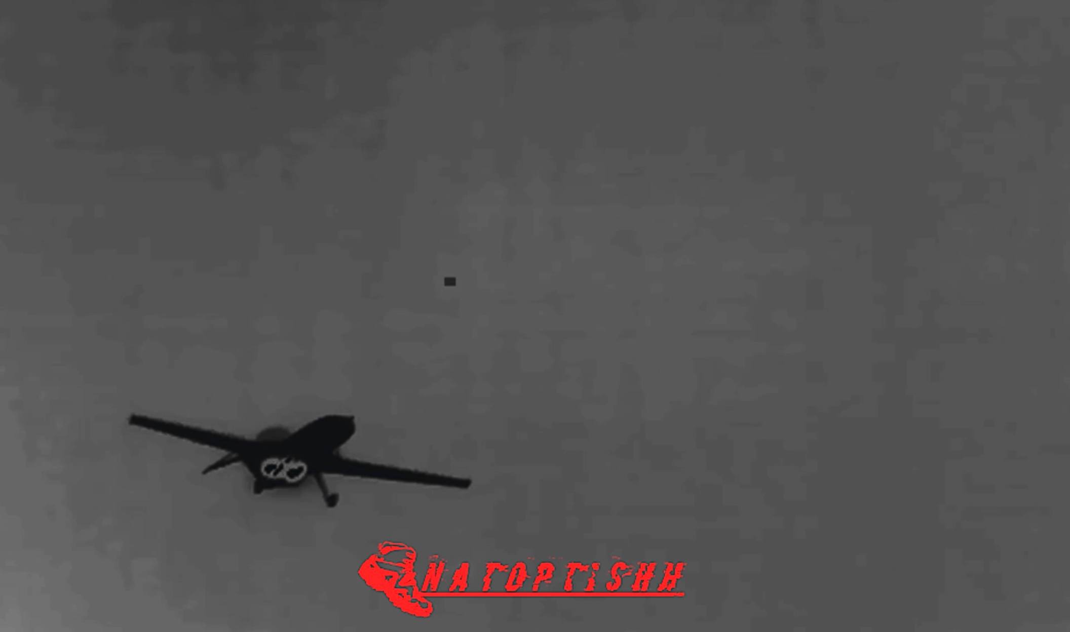 Изображение публикации b1caf603-748c-46d3-a9fe-7d90017b843a