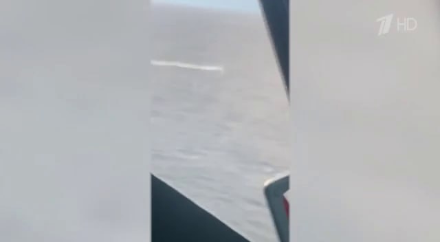 Изображение публикации b1d20b25-c7d9-4553-991b-ed2a685c41d7