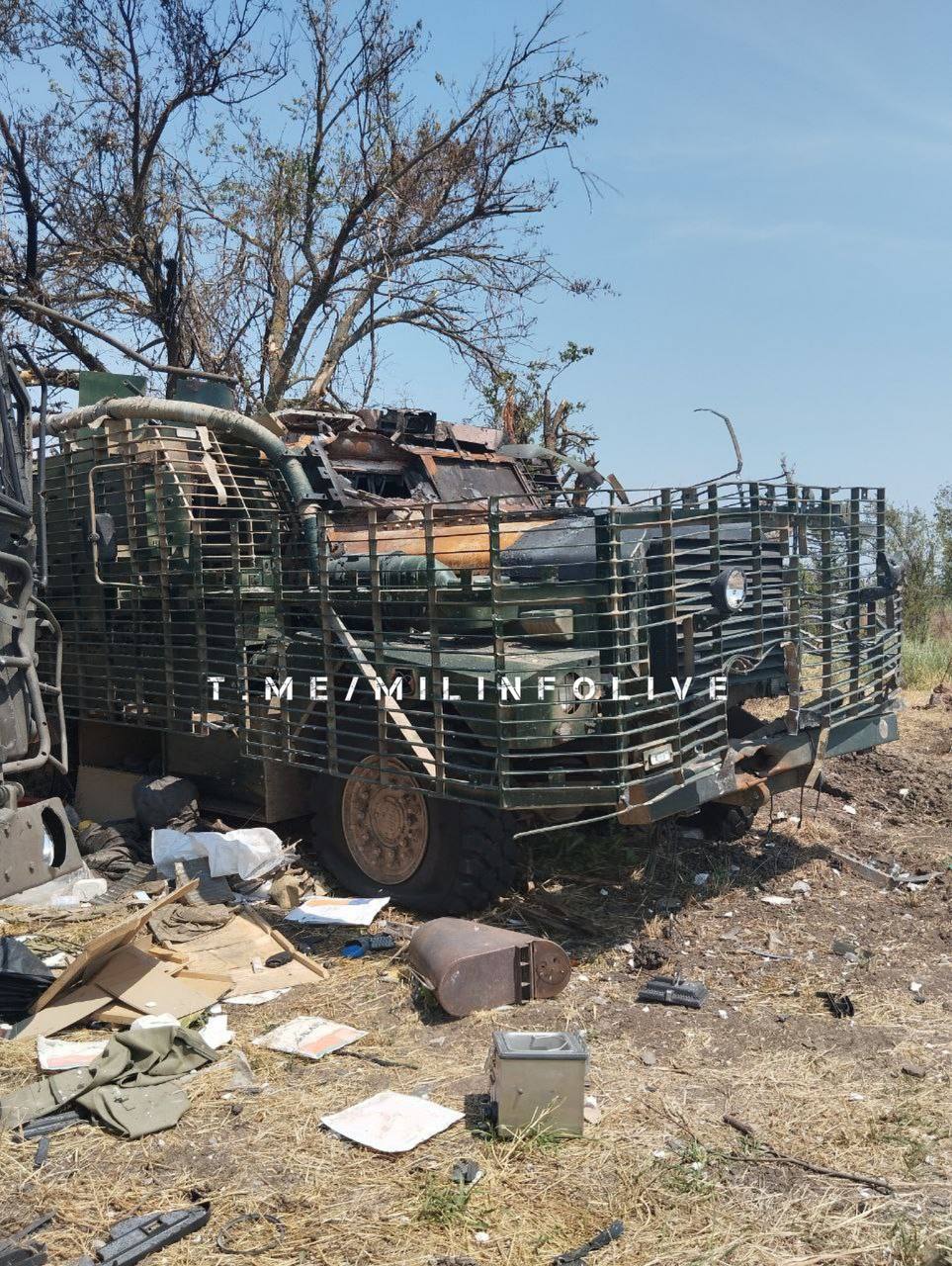 Изображение публикации b25d86e8-d431-4d85-8b90-23570a80d951