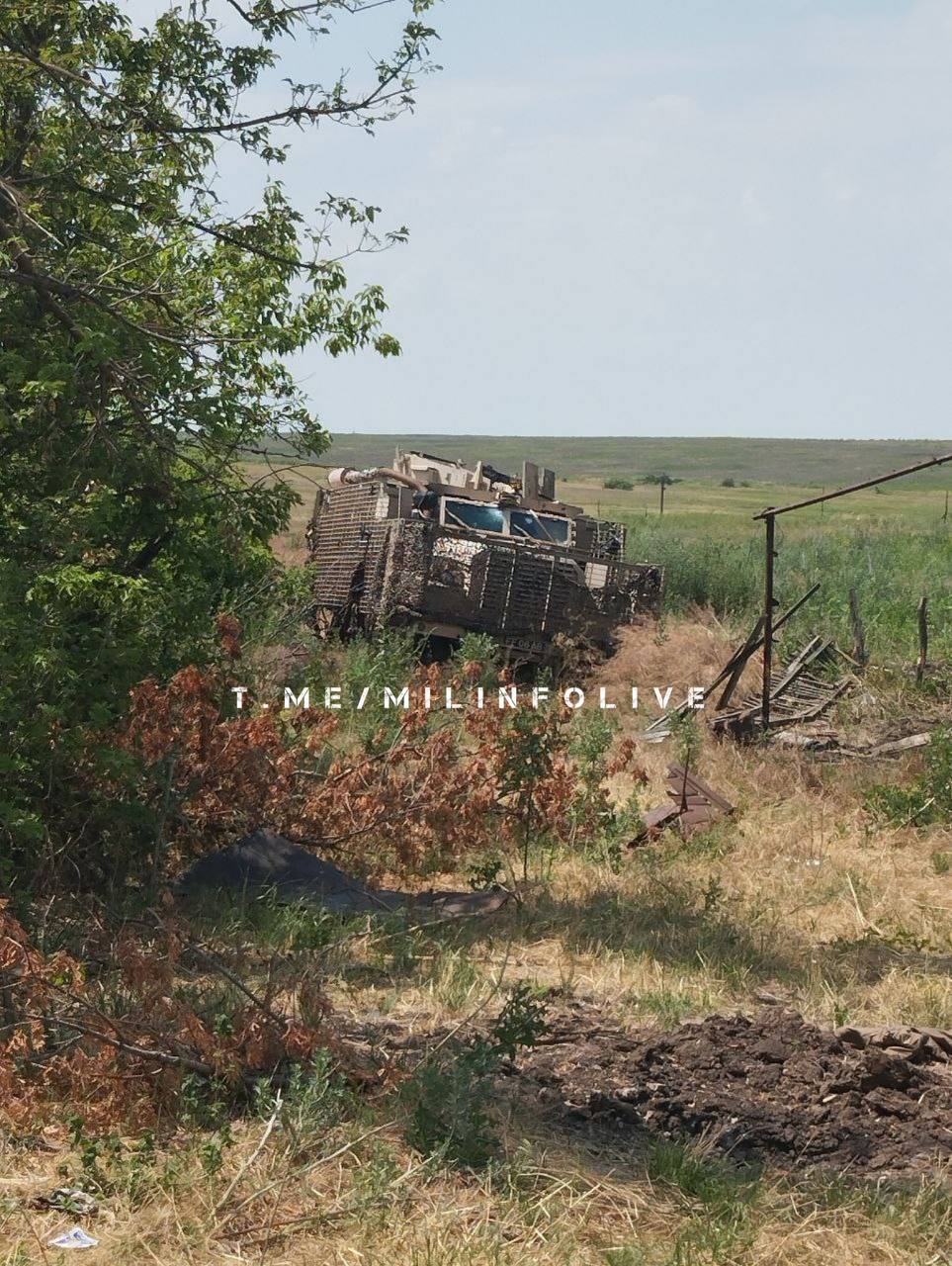 Изображение публикации b25d86e8-d431-4d85-8b90-23570a80d951