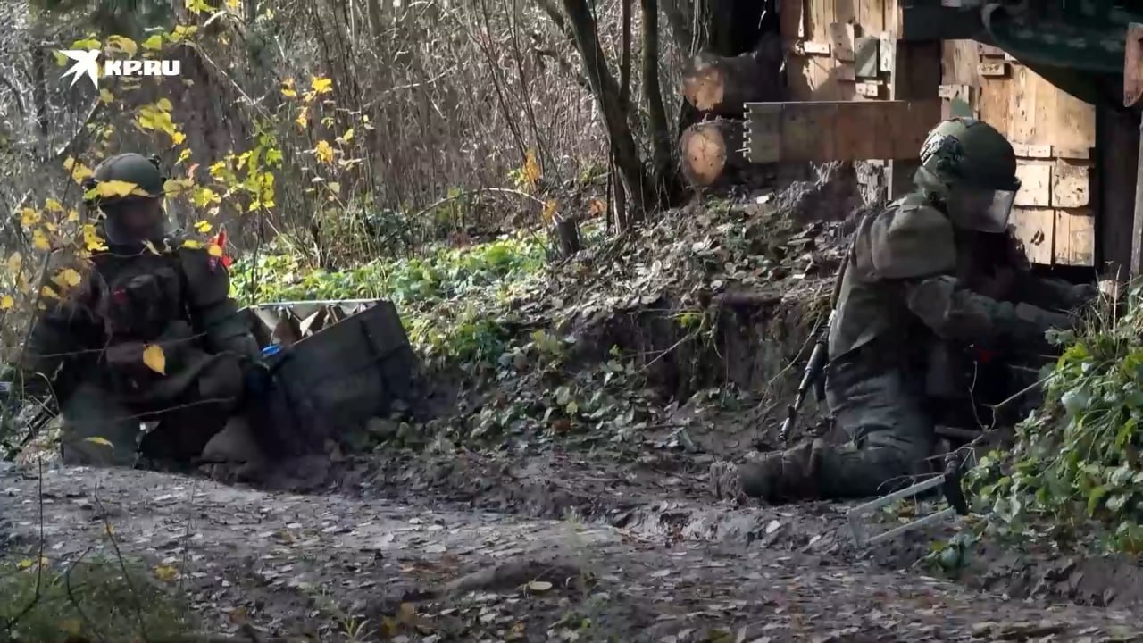 Изображение публикации b28123b1-b8a5-4680-8f3b-35aa12d2c990