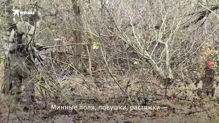 Превью видео