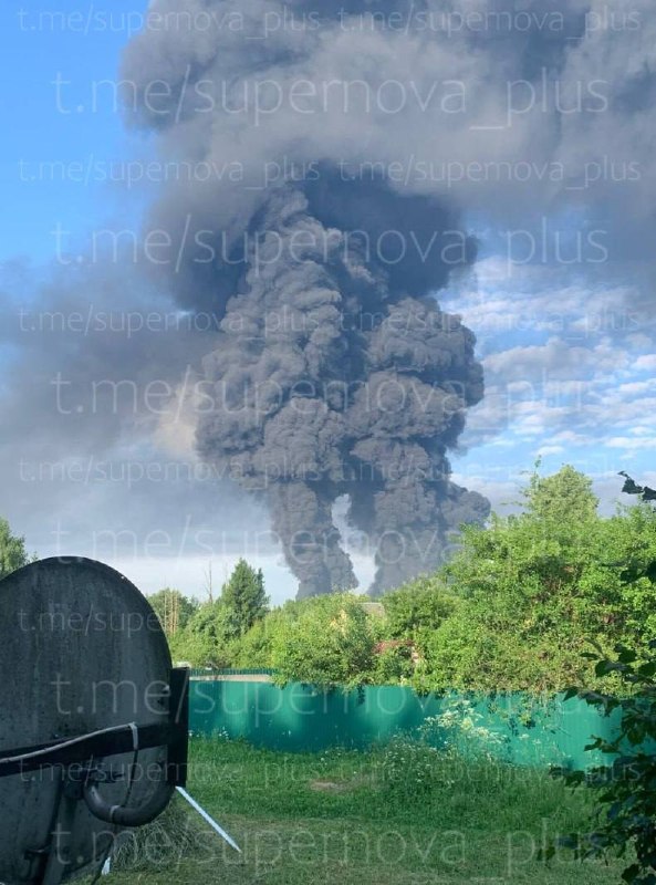 Изображение публикации b2dbf785-a24f-4866-ae61-200a91b9fb27
