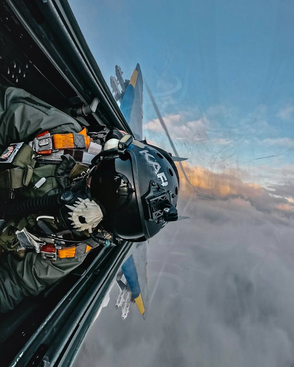 Изображение публикации b309efc4-e183-4e8e-8048-dc4b7dffd869
