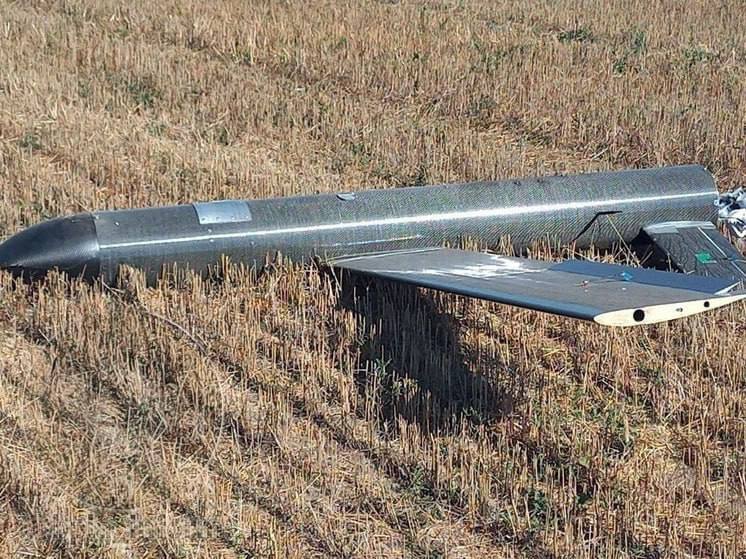 Изображение публикации b33cc57a-87b3-44d8-b3b5-6c2c894a88df